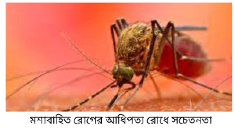 ডেঙ্গুর ঝুঁকি কমাতে প্রয়োজন সমন্বিত উদ্যোগ, সচেতনতা ও নিয়মিত পরিচ্ছন্নতা
