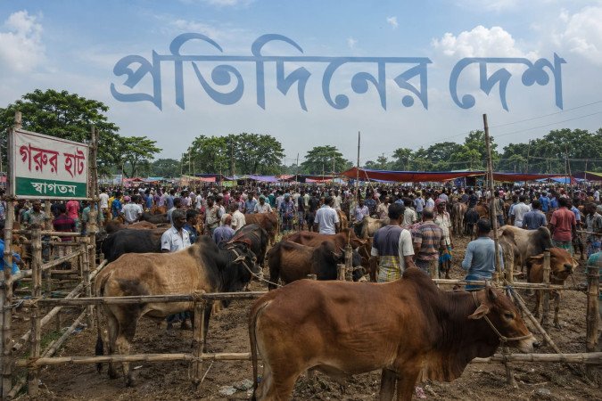রাজধানীতে ‘কসাইয়ের রেট’ নিয়ে মধ্যবিত্তদের ভোগান্তি